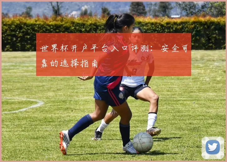 世界杯开户平台入口评测：安全可靠的选择指南