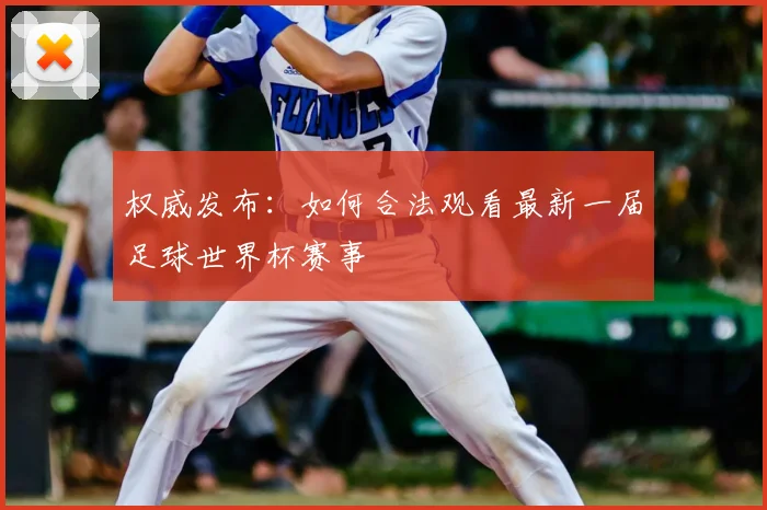 权威发布:如何合法观看最新一届足球世界杯赛事